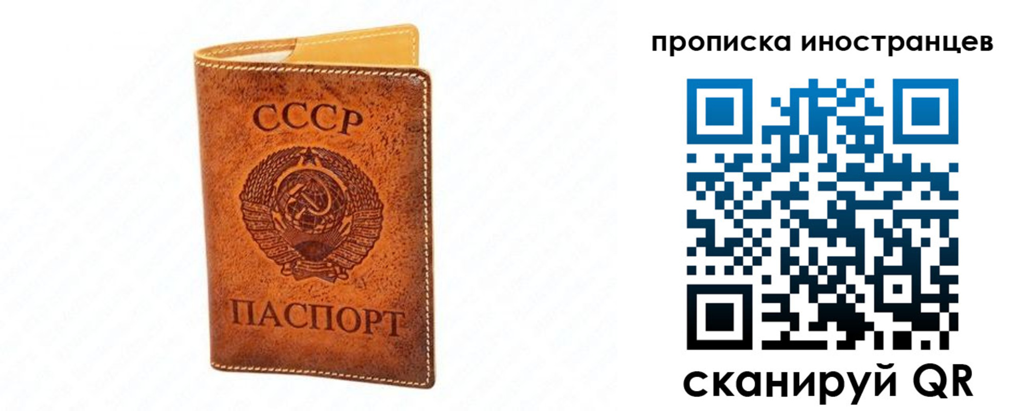 прописка для школы в Шарье